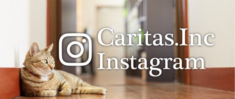 Caritas Inc Instagram