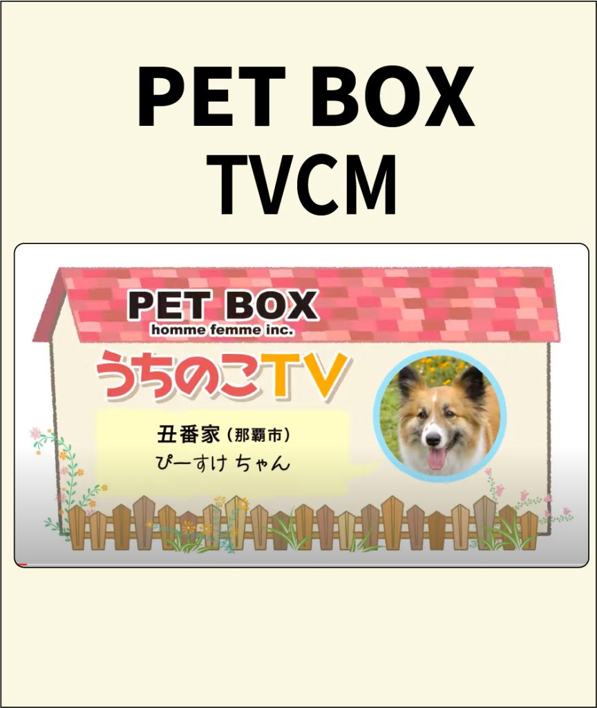 PET BOX うちのこTV
